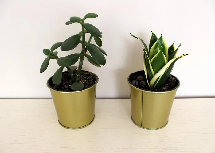 Shabby Chic Dream Apartment