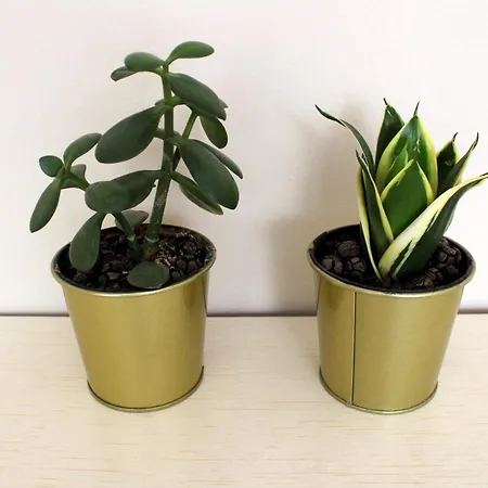 Shabby Chic Dream Appartamento